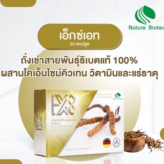 EX8 เอ็กซ์เอท 30cap Cordycep+CoQ10 ผลิตภัณฑ์อาหารเสริม ถั่งเช่า ผสม โคเอ็นไซม์คิวเทน 30เม็ด