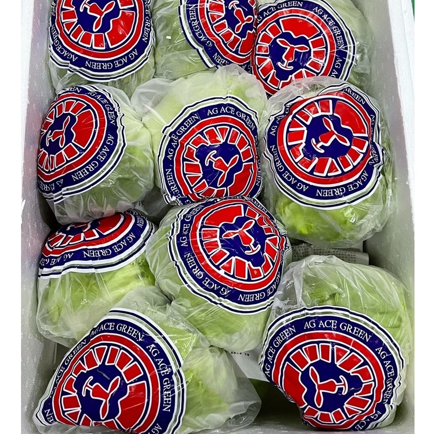 fillfresh-สลัดแก้วนอก-ผักกาดแก้ว-iceburg-lettuce-ผักสลัด-พร้อมส่ง-สดใหม่