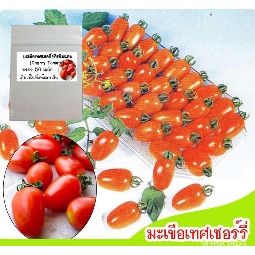 ผลิตภัณฑ์ใหม่-เมล็ดพันธุ์-เมล็ดพันธุ์มะเขือเทศเชอร์รี่ทับทิมแดง-cherry-tomato-เมล็ดมะเขือเทศ-เมล็ดพันธุ์มะเขือ-ขายด-mz