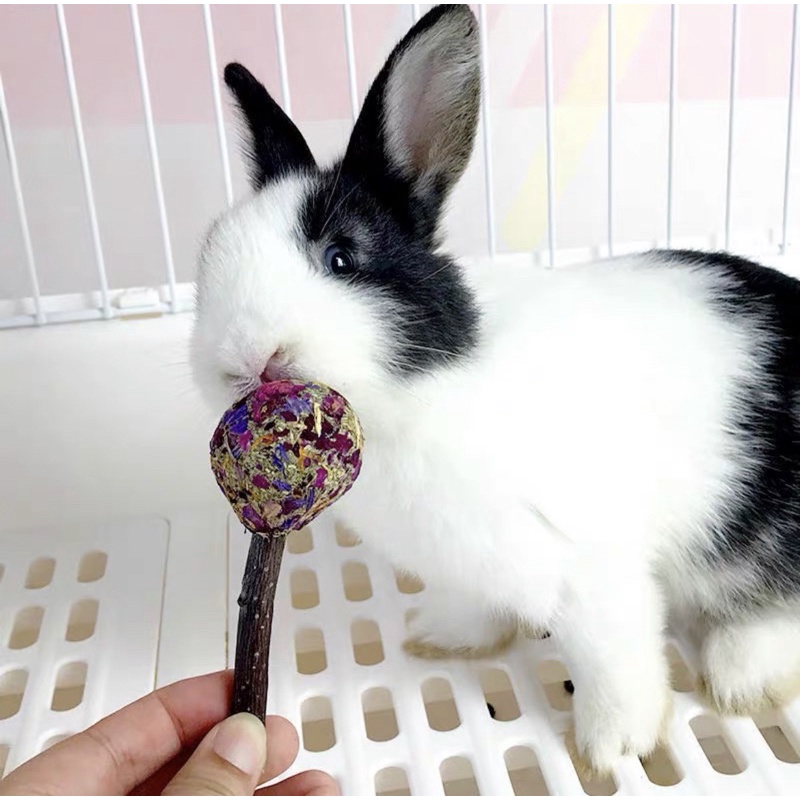ขนมกระต่าย-อมยิ้มกระต่าย-ขนมสัตว์ฟันแทะ-snack-for-rabbits