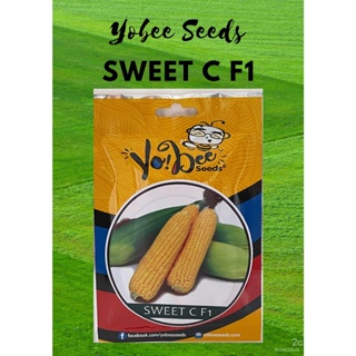 ผลิตภัณฑ์ใหม่ เมล็ดพันธุ์ จุดประเทศไทย ❤YOBEE Sweet C F1 Sweet Corn Golden Yellow Kernel Vegetable 80 seeds Pouc/ขายดี I