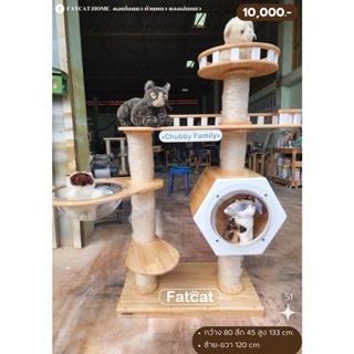 คอนโดแมว บ้านแมว ของเล่นแมว รุ่น 51  ทำจากไม้ยางพาราอย่างดี ใช้เชือกมะนิลาแท้ 100% แข็งแรง ทนทาน ใช้งานได้ยาวนานหลายปี