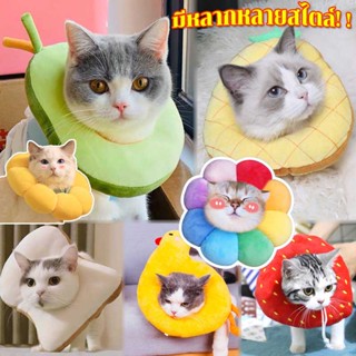 ภาพขนาดย่อของสินค้าพร้อมส่ง Pet Elizabeth Collar ปลอกคอกันเลีย ปลอกคอสัตว์เลี้ยง คอลล่าแมว คอลล่าสุนัข