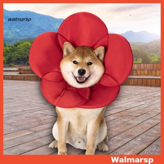 ภาพหน้าปกสินค้า[WMP] ปลอกคอฟองน้ํา แบบหนา ปรับขนาดได้ ป้องกันการเสียรูป สําหรับสัตว์เลี้ยง สุนัข แมว ที่เกี่ยวข้อง