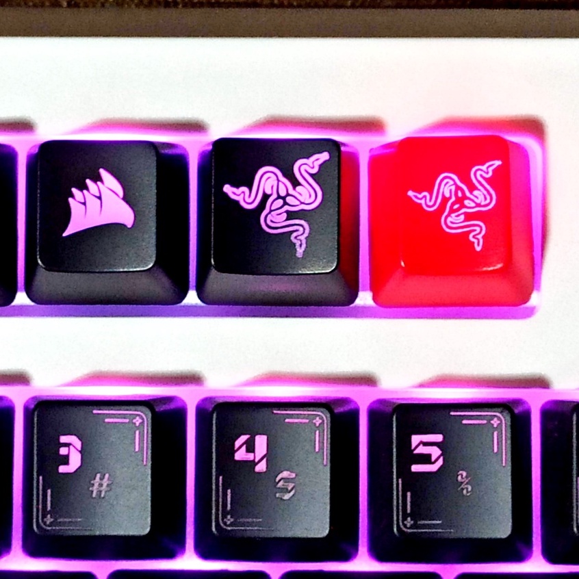 R RAZER ปุ่มกดคีย์บอร์ด แบบโปร่งแสง | Shopee Thailand