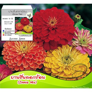 （คุณภาพสูง เมล็ด）เมล็ดพันธุ์บานชื่นคละสี (Zinnia Mixs) 30 เมล็ด เมล็ดพันธุ์ดอกบานชื่น ดอกไม้คละสี ปลูกได้ตลอดปี /ขายดี Z