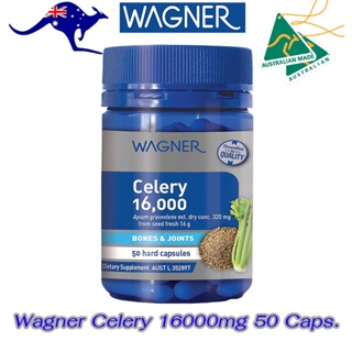 Wagner Celery 16000mg 50 Capsules สารสกัดขึ้นฉ่ายฝรั่ง ผักคึ่นช่าย โดสสูงสูตรเข้มข้น แท้จากออสเตรเลีย