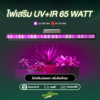 ไฟเสริม UV+IR 65w เพิ่มไตรโครม