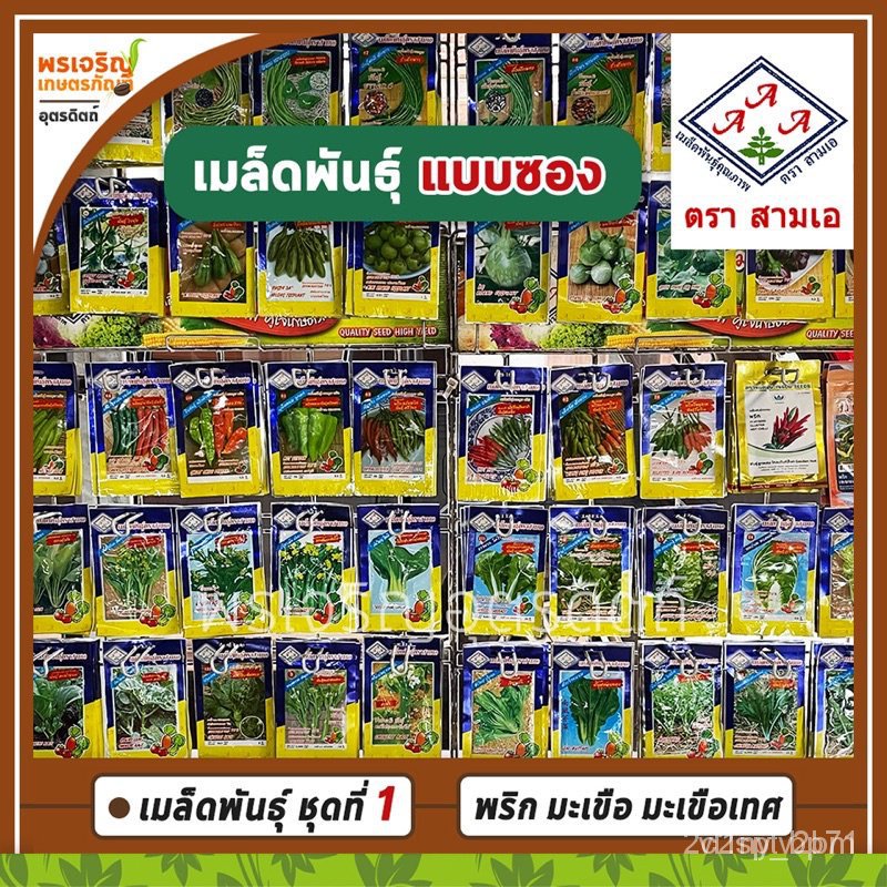 ผลิตภัณฑ์ใหม่-เมล็ดพันธุ์-เมล็ดพันธุ์คุณภาพสูงในสต็อกในประเทศไทย-พร้อมส่ง-ะให้ความสนใจของคุณเมล็ดอวบอ้วนผัก-พืชผ-ขายดี-n