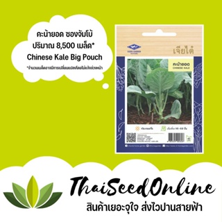 ผลิตภัณฑ์ใหม่ เมล็ดพันธุ์ เมล็ดพันธุ์ คะน้ายอด 8,500 เมล็ด ซองจัมโบ้ เพิ่มปริมาณมากกว่า 3 เท่า！ตราเจียไต๋ Chinese /เมล็ด