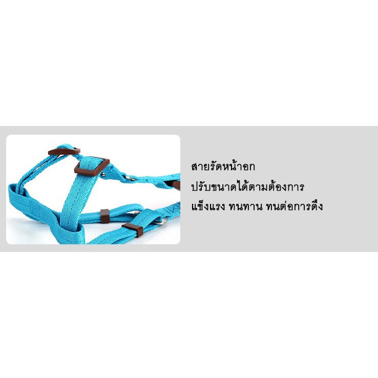 bn-265-สายรัดอก-สายจูงสัตว์เลี้ยง-สุนัข-แมว-หมา-เสื้อรัดอก-ปลอกคอ-ปรับได้-แข็งแรง-ราคาถูก-พร้อมส่ง