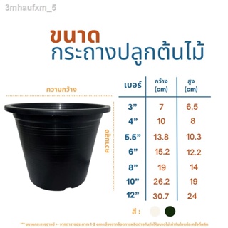 กระถางต้นไม้ 12 นิ้ว 5ใบ 10ใบ 15ใบ กระถาง