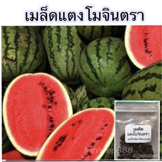 เมล็ดพันธุ์ แตงโม เมล็ดพันธุคัดพิเศษ 70 เมล็ด [10 แถม 1 คละได้]/ขายดี ผัก ปลูก สวนครัว คละ/ขายดี RJ9G