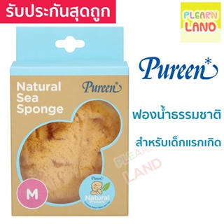 ภาพหน้าปกสินค้ารับประกันสุดถูก! Pureen ฟองน้ำธรรมชาติอาบน้ำเด็ก สำหรับเด็กแรกเกิด ทารก เด็กอ่อน เพียวรีน Natural Sea Sponge ซึ่งคุณอาจชอบราคาและรีวิวของสินค้านี้