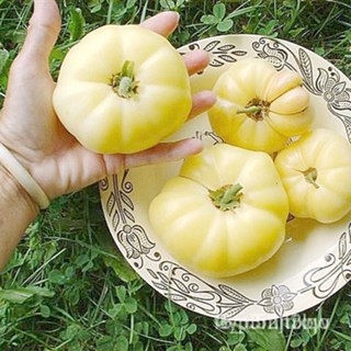 ผลิตภัณฑ์ใหม่ เมล็ดพันธุ์ 2022เมล็ดอวบอ้วน มะเขือเทศ เกรทไวท์ (Great White Tomato Seed) บรรจุ 20 เมล็ด คุณภาพดี /ดอก CQZ