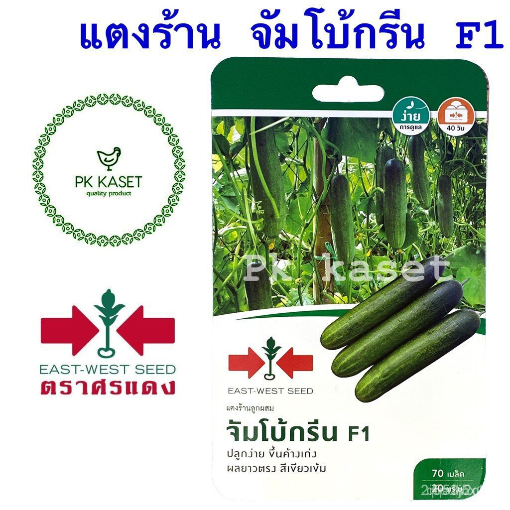 ผลิตภัณฑ์ใหม่-เมล็ดพันธุ์-เมล็ดพันธุ์คุณภาพสูงในสต็อกในประเทศไทยเมล็ดแตงร้าน-จัมโบ้กรีน-f1-ศรแดง-ซองแข็ง-70-เมล-สวนครัว