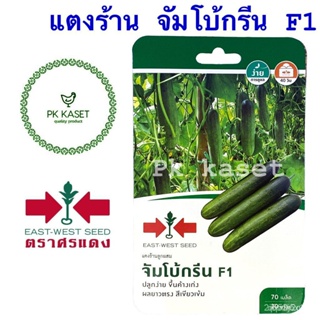 ผลิตภัณฑ์ใหม่ เมล็ดพันธุ์ เมล็ดพันธุ์คุณภาพสูงในสต็อกในประเทศไทยเมล็ดแตงร้าน จัมโบ้กรีน F1 ศรแดง ซองแข็ง 70 เมล /สวนครัว