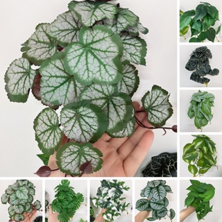 【AG】Simulated Plant Fine Workmanship Decorative Realistic Full of Vitality No Watering Decorate Rattan Leaves Long-lasting No Wither Imitation Plant for Office Use