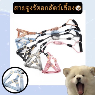 BN-266 สายรัดอก สายจูงสุนัข หมา แมว เสื้อรัดอกสัตว์เลี้ยง ปรับได้ อุปกรณ์เชือกสำหรับสุนัข ปลอกคอ แข็งแรง พร้อมส่ง 😘🐶