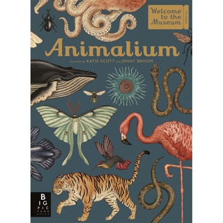 Animalium Hardback Welcome to the Museum English
