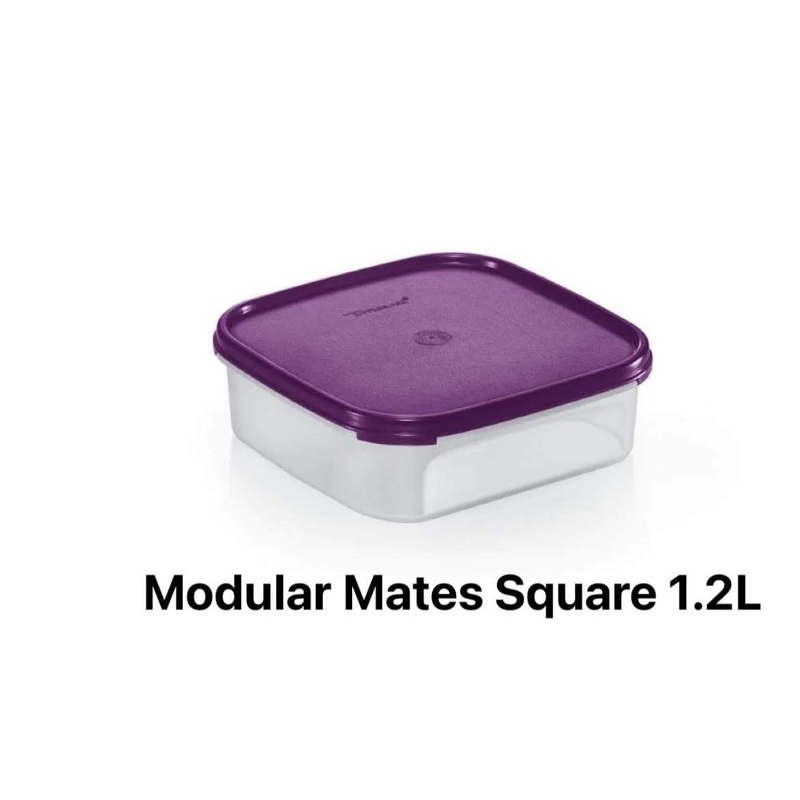 Tupperware Modular Mates Square ภาชนะเก็บอาหาร ของแท้ | Shopee Thailand