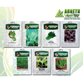 ผลิตภัณฑ์ใหม่ เมล็ดพันธุ์ จุดประเทศไทย ❤LEAFY VEGETABLE SEEDS FOR PLANTING garden pack  PECHAY MUSTASA KANGKONG /ขายดี Q