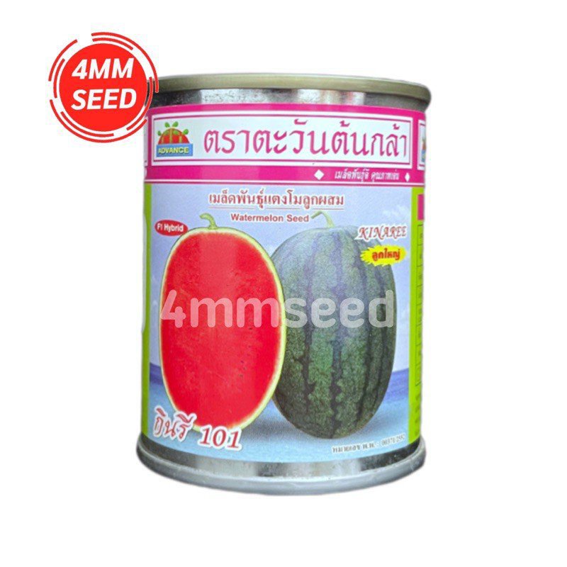 ผลิตภัณฑ์ใหม่-เมล็ดพันธุ์-20224mmseeds-เมล็ดพันธุ์แตงโมกินรี101-40-กรัม-2bdw-คละ-สวนครัว-กะเพรา-tv5k