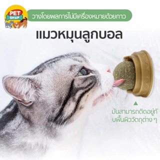 กัญชาแมว แคทนิปบอล ติดกำแพง ไม่กลิ้งหาย catnip ball SB7061Pet discount_369