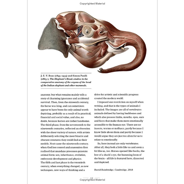 the-art-of-animal-anatomy-all-life-is-here-dissected-and-depicted