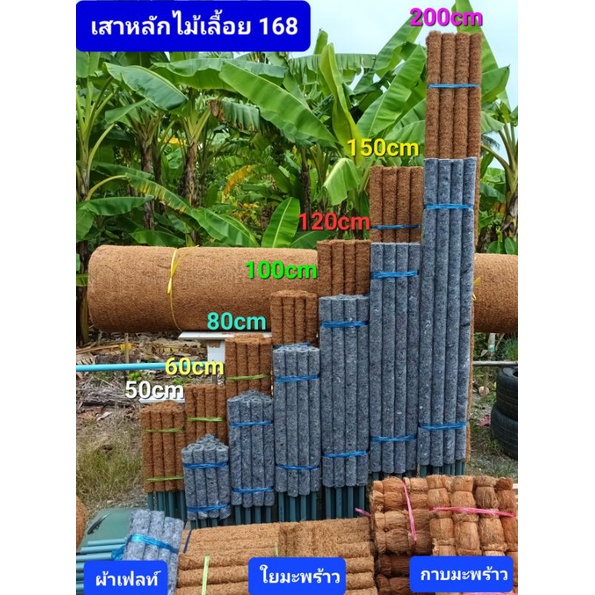 เสาหลักไม้เลื้อยใยมะพร้าว-ผ้าเฟลท์และกาบมะพร้าว