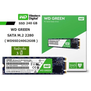 👍🔥⚡💥ราคาแรงส์ 6.6🔥⚡💥240GB SSD (เอสเอสดี) WD GREEN SATA M.2 2280 R540MB/s R405MB/s - รับประกัน 3 ปี Synnex