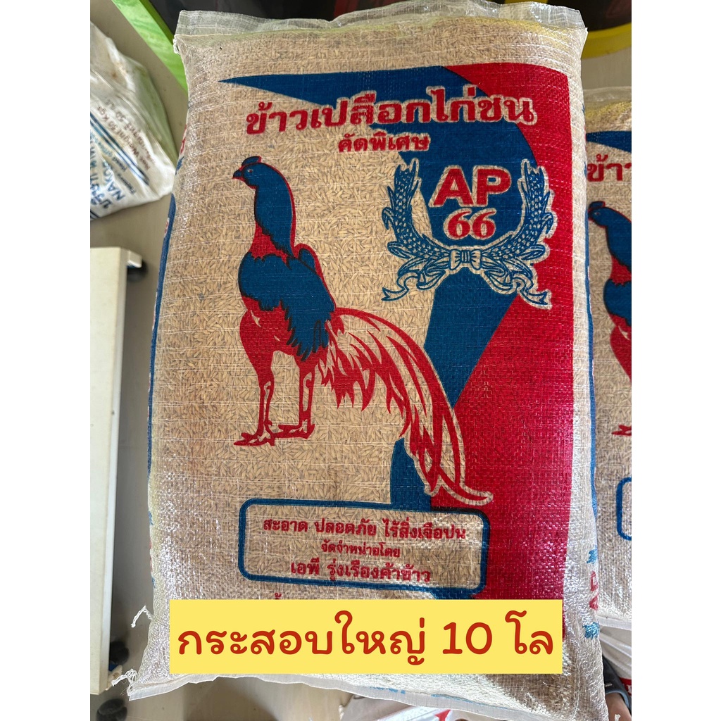 ข้าวเปลือกไก่ชน-ข้าวไก่-ข้าวเปลือกนก-ข้าวเปลือกเลี้ยงนก-คัดพิเศษ-ข้าวเต็มทุกเม็ด-ยกกระสอบขนาด-10-กิโลกรัม