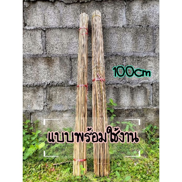 เบ็ดปักคันนาพร้อมใช้งาน-100เซน-เบ็ดตกปลาไม้ไผ่เบ็ดไม้ไผ่-เบ็ดตกปลา-bamboo-hookเบ็ดธง-เบ็ดปัก-คันไม่ไผ่