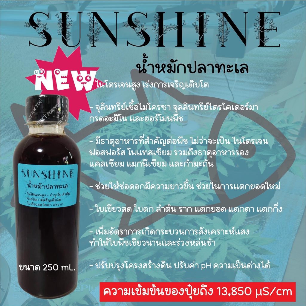 ปุ๋ยน้ำหมัก-เข้มข้น-organic-100-ปุ๋ยกัญชา-น้ำหมักปลาทะเล-เร่งราก-เร่งโต-บำรุงลำต้น-ดอก-ใบ-ไม้ด่าง-ไม้ดอก-ปุ๋ย-น้ำหมัก