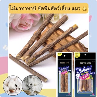 BN-367 ไม้มาทาทาบิ ขัดฟันสัตว์เลี้ยง แมว ไม้ขัดฟันแมว ลดคราบหินปูน ราคาถูก พร้อมส่ง💙