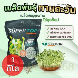 ผลิตภัณฑ์ใหม่ เมล็ดพันธุ์ เมล็ดพันธุ์คุณภาพสูงในสต็อกในประเทศไทย พร้อมส่ง ะให้ความสนใจของคุณ1แพ็ค เมล็ดอวบอ้วนท /สวนครัว