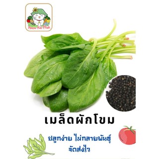 (เมล็ดพันธุ์แท้)เมล็ดพันธุ์ รวมชุดผักพื้นบ้าน ที่ขายดีที่สุด ถูกที่สุด ปลูกง่าย ทนร้อน โตไว นำไปขยายพัน/ขายดี BYR7