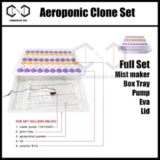 ถาดโคลน เซ็ทน้ำ Aeroponic cloning set hydroponic โคลนง่ายๆด้วย ระบบน้ำ ปักชำน้ำ