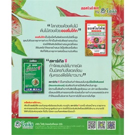 หนังสือ-บอนสี-caladium-หนังสือคนรักบ้านและสวน-คู่มือปลูกต้นไม้-สินค้าพร้อมส่ง