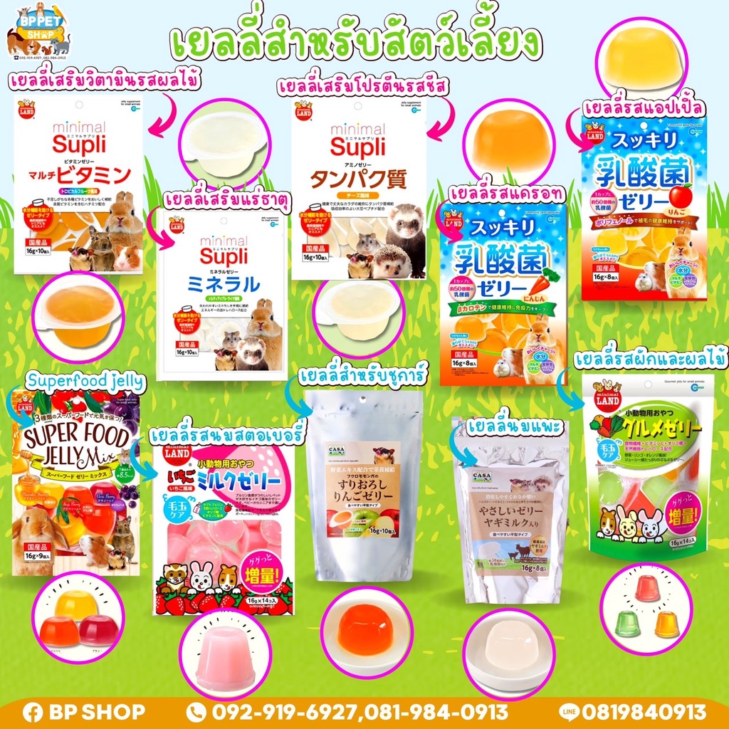 (IPshop) ขนมกระต่าย ขนมหนูแฮมเตอร์ ชูก้าร์ กระรอก มารุคัง เยลลี่ถ้วย ...