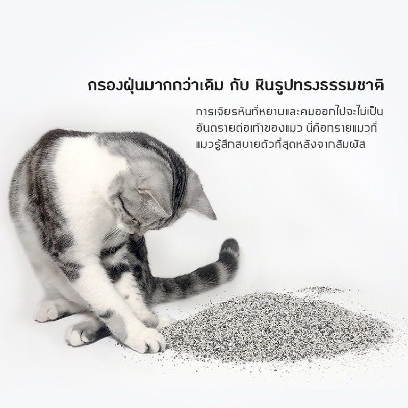 ทรายแมวไต้หวัน-5-ลิตร-ส่งฟรี-ขายดี