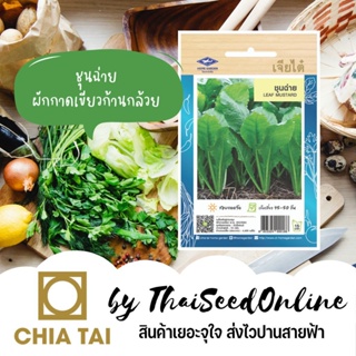 ผลิตภัณฑ์ใหม่ เมล็ดพันธุ์ เมล็ดพันธุ์คุณภาพสูงในสต็อกในประเทศไทยเมล็ดอวบอ้วน ชุนช่าย 4400 เมล็ด (เขียวปลีก้านกล้วย/เมล็ด