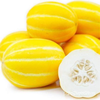 ผลิตภัณฑ์ใหม่ เมล็ดพันธุ์ จุดประเทศไทย ❤เมล็ดอวบอ้วน เมล่อนชาแมร์ เกาหลี (Chamoe Korean Melon) บรรจุ 10 เมล็ด คุ/สวนครัว