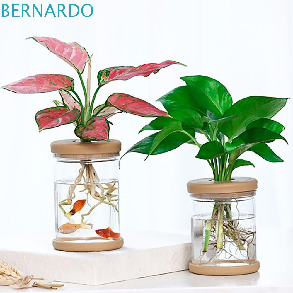 bernardo-วัสดุเรซิ่นใส-ทรงกลม-สําหรับตกแต่งบ้าน-และสวนน้ํา