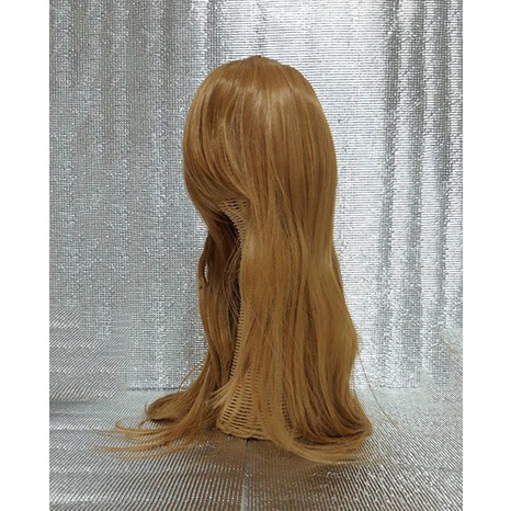 วิกผมยาวคอสเพลย์-long-wig-cosplay