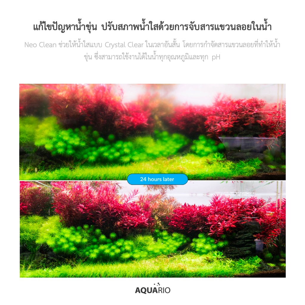 aquario-neo-clean-น้ำยาปรับสภาพน้ำใส-แก้ไขปัญหาน้ำขุ่น