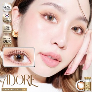 WeWink Adore Eff.19 Brown ใหญ่