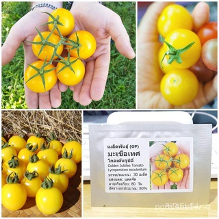 ผลิตภัณฑ์ใหม่ เมล็ดพันธุ์ เมล็ดพันธุ์ มะเขือเทศ โกลเด้นจูบิลี่ (Golden Jubilee Tomato Seed) บรรจุ 30 เมล็ด คุณภา/ขายด FD