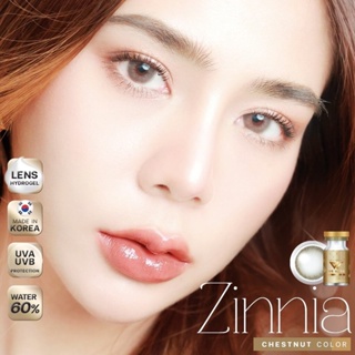 WeWink Zinnia Eff.14.5 Brown มินิ