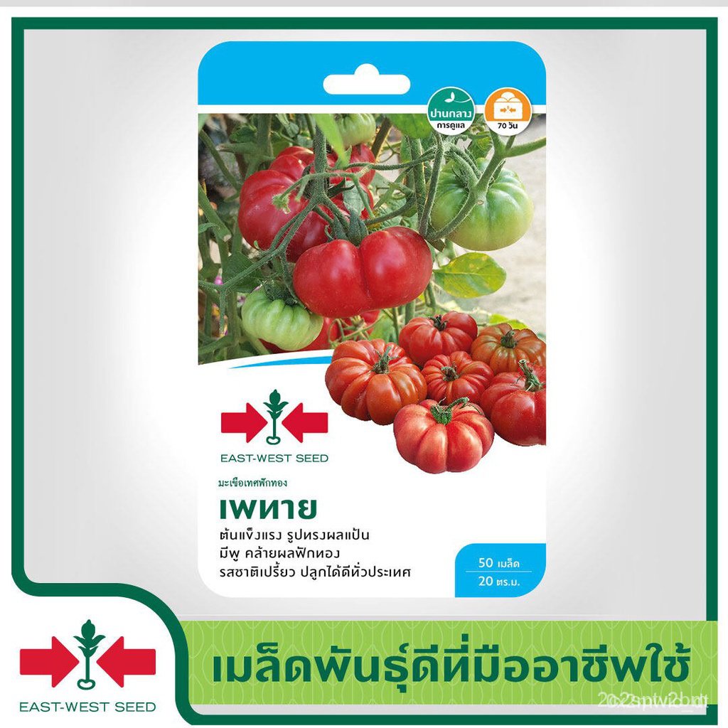 ผลิตภัณฑ์ใหม่-เมล็ดพันธุ์-east-west-seed-เมล็ดพันธุ์มะเขือเทศ-tomato-seeds-เพทาย-เมล็ดพันธุ์ผัก-เมล็ดพันธุ์-ผ-ขายด-n1